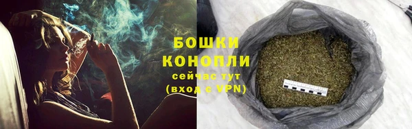спайс Богородск